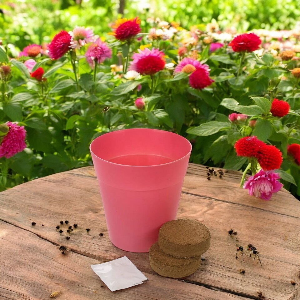 image 1 of Flower Growing Kit | Blue | Lathyrus | 1