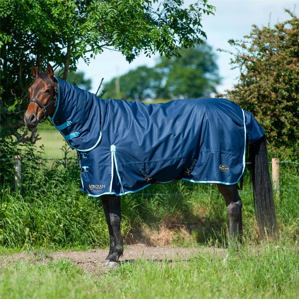 image 1 of Gallop Equestrian Trojan 350 Combo Turnout Brown | Size: 5ft 6
Colour: Navy/Sky Blue