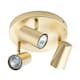 image 1 of BHS Barley Spotlight Plate | Gold | Satin Brass | 1