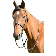 Kincade Classic Leather Horse Flat Hunt Bridle With Reins - Brown - Full
