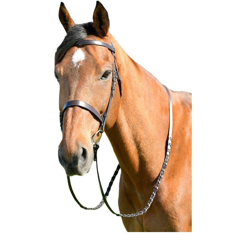 Kincade Classic Leather Horse Flat Hunt Bridle With Reins - Brown - Full