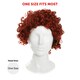 image 7 of Adult Ginger Afro Wig – Bright Curly Fancy Dress Hairpiece N/A | One Size