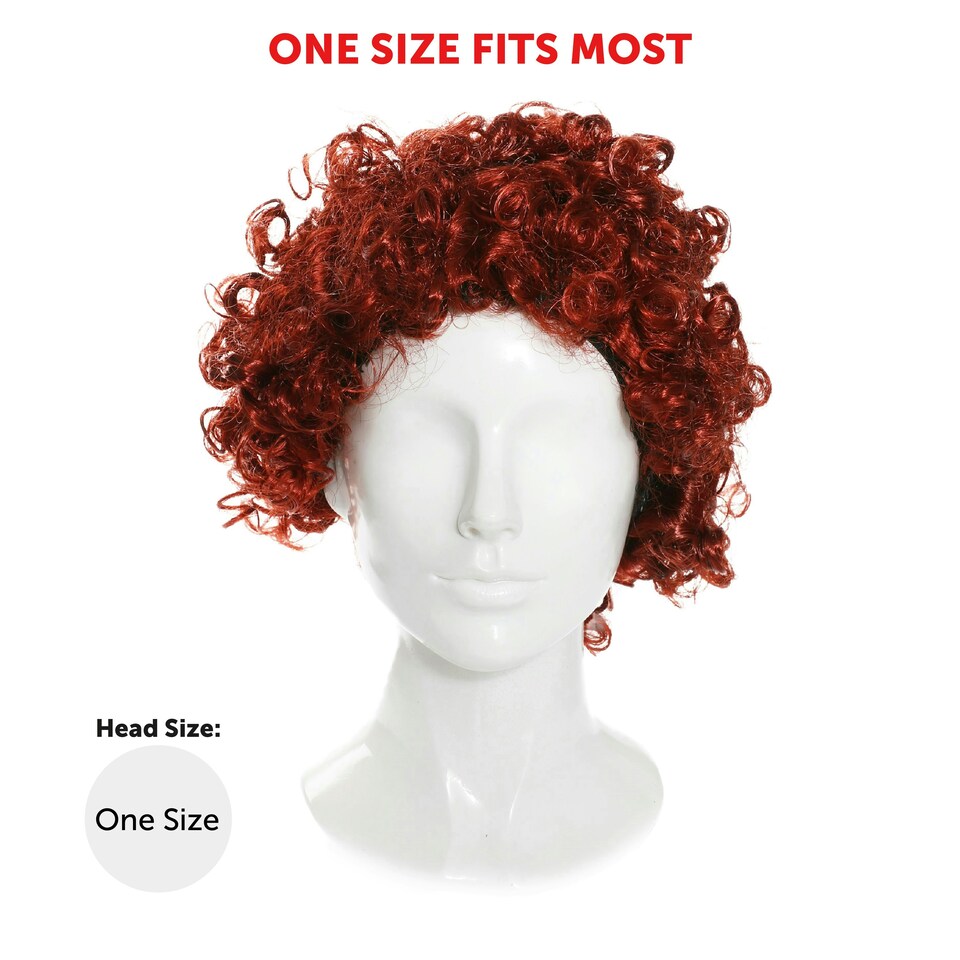 image 1 of Adult Ginger Afro Wig – Bright Curly Fancy Dress Hairpiece | Multi | One Size