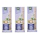 image 1 of Pack of 3 Pan Aroma Pure Jasmine Reed Diffusers 50ml