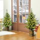 image 2 of HOMCOM 2 Pcs 4ft Artificial Christmas Tree with Lights, Pot, Realistic Tips