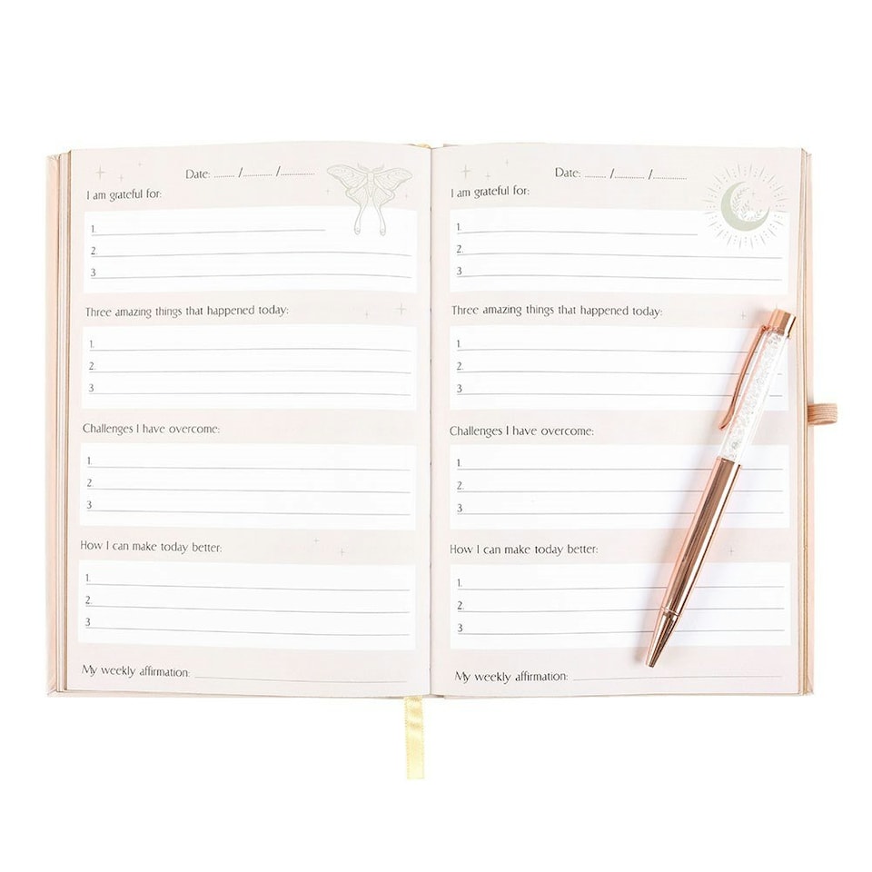 image 1 of Something Different Daily Reflection Luna Moth Journal - Pale Pink - One Size