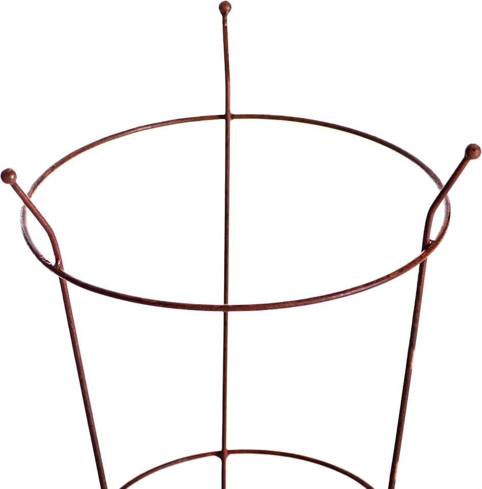 image 1 of Garden Gear Pre-Rust Corten Peony Plant Frame Large x | Orange | 2