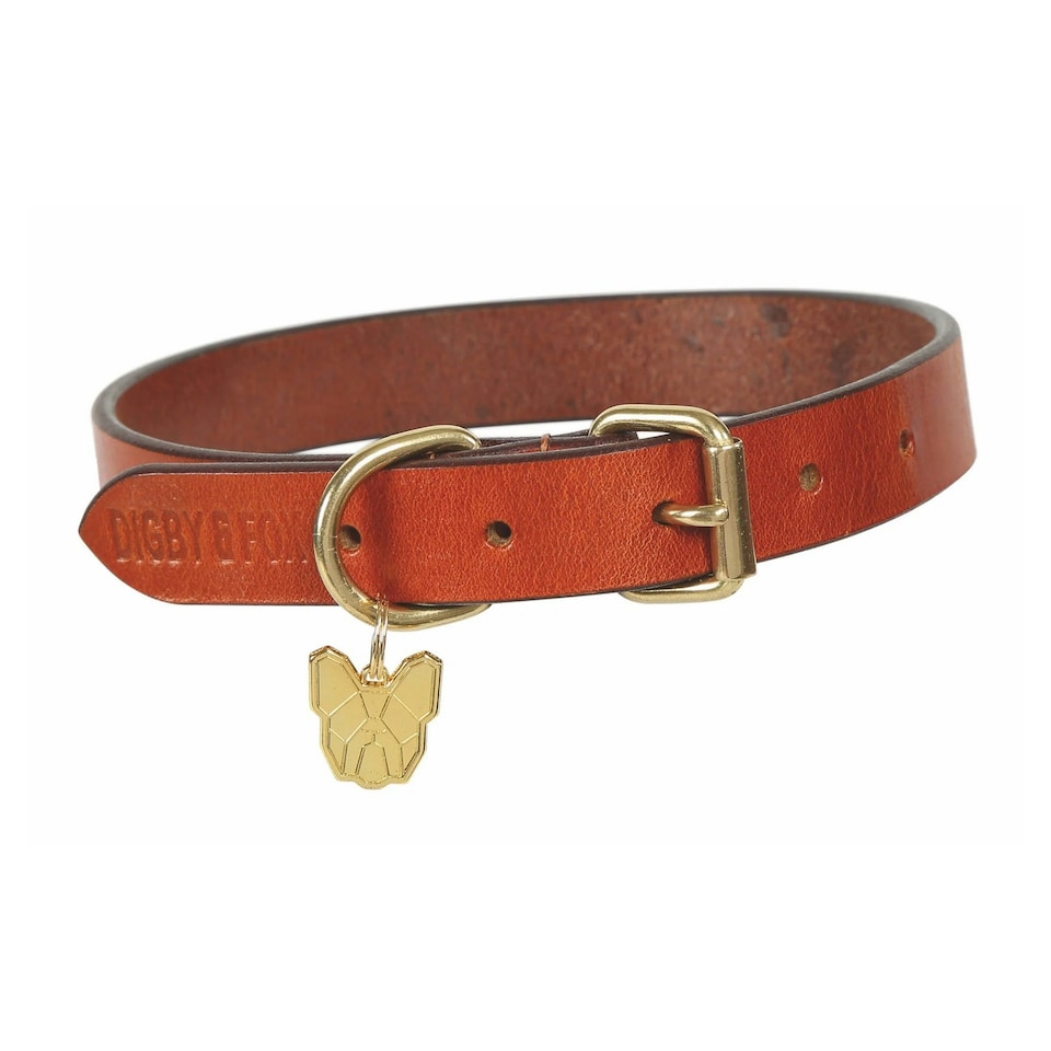 Digby & Fox Flat Leather Dog Collar - Tan - XXXS - Neckline: 5.5in-8.5in