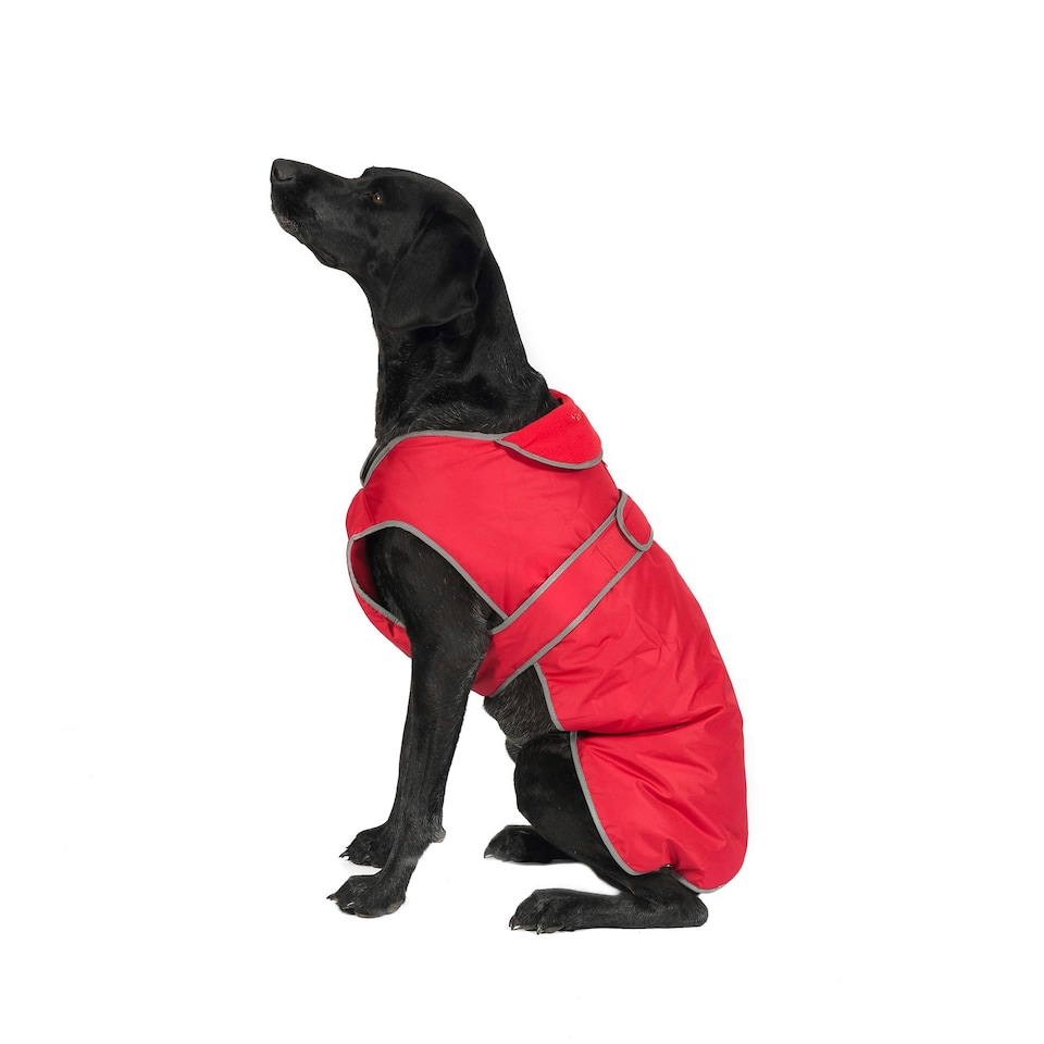 Ancol Muddy Paws Stormguard Fleece Lined Coat & Chest Protector Red Xsmall N/A | XS