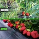 image 7 of Heavy Duty Weed Control Membrane Garden Barrier Fabric for Landscaping Cover N/A