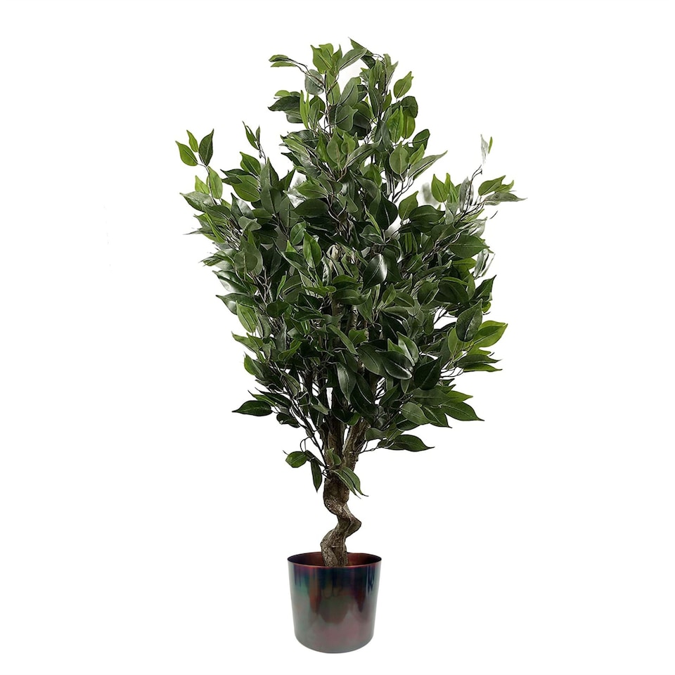 image 1 of Artificial 110cm Evergreen Ficus Tree Multicolour Planter | Green | 3ft
