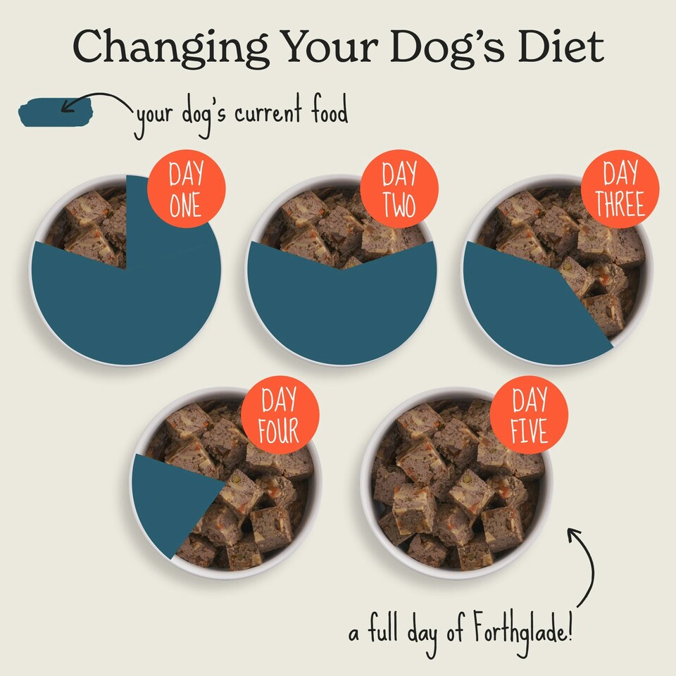 image 1 of British Classics Turkey Stew Wet Dog Food (18x395g)