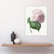 image 4 of Hydrangea Botanical Illustration Redoute Vintage Huge Wall Art Print 18X24 In