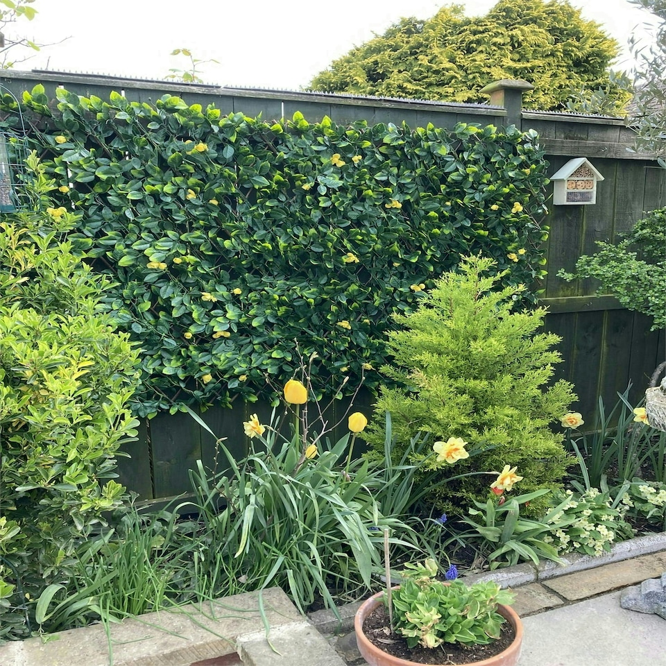 image 1 of Primrose Extendable Artificial Flower Outdoor Screening Trellis Yellow 1m x 2m