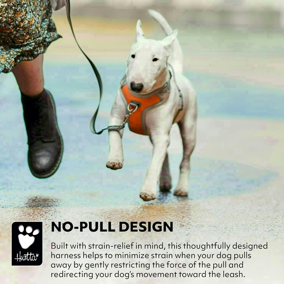 image 1 of Hurtta Venture No-Pull Dog Harness Buckthorn 24-32in
