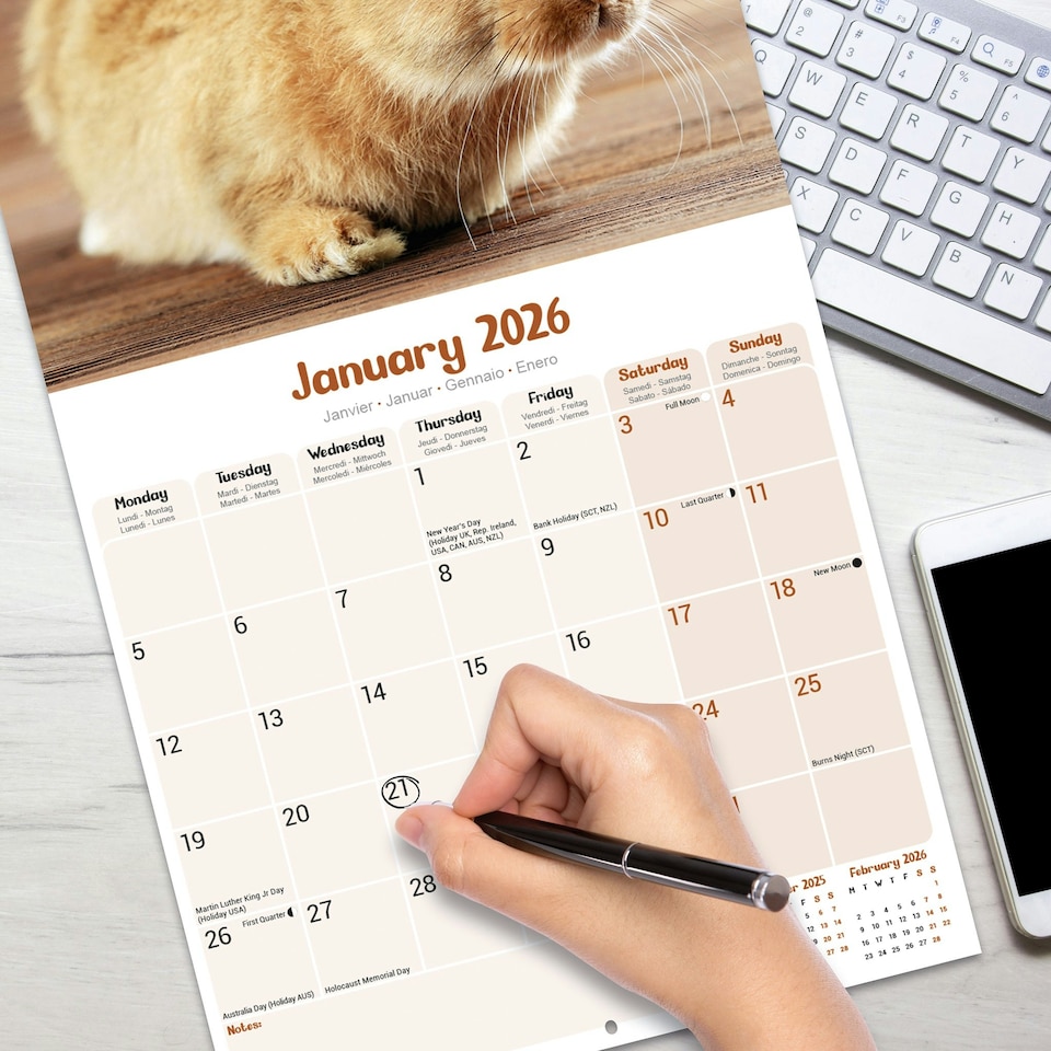 image 1 of Rabbits 2026 Calendar | Square Wall Calendar | Animal Gift | Plastic Free Packaging | by Avonside Publishing