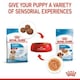 image 6 of Royal Canin Medium Dry Puppy Food 12kg