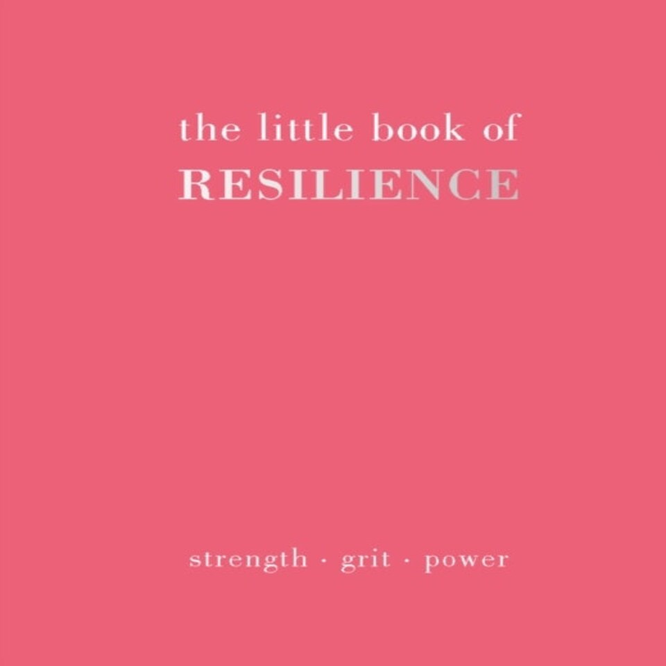 Little Book Of Resilience