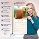image 6 of Capybara 2026 Calendar | Square Wall Calendar | Animal Gift | Plastic Free Packaging | by Avonside Publishing