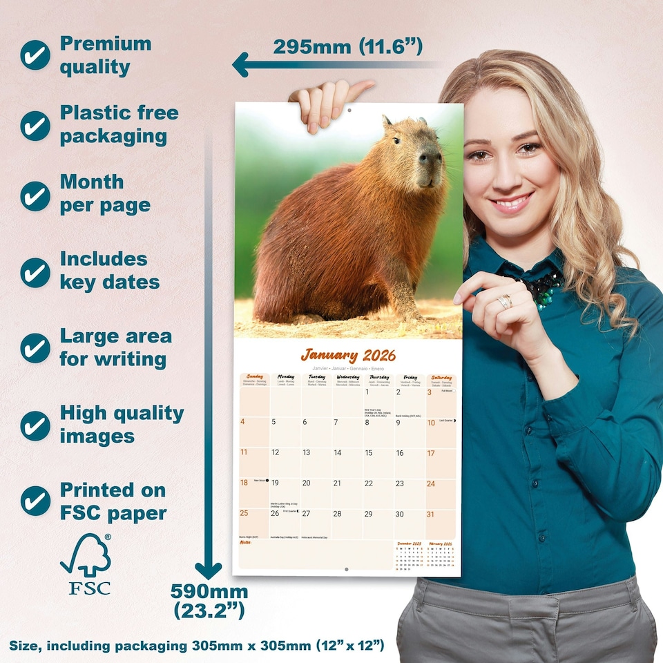 image 1 of Capybara 2026 Calendar | Square Wall Calendar | Animal Gift | Plastic Free Packaging | by Avonside Publishing