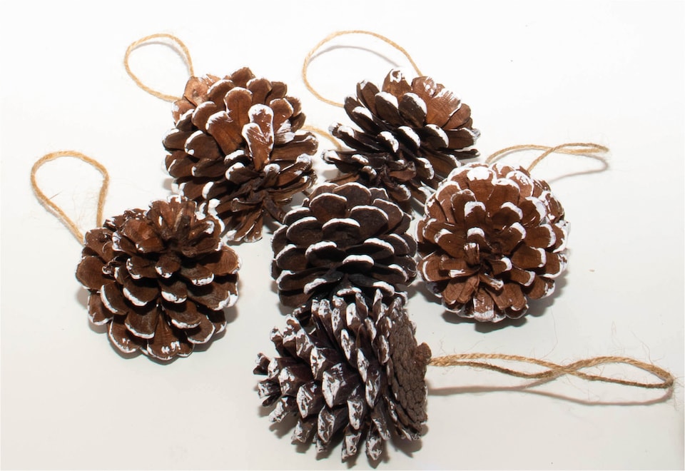 image 1 of St Helens White Tipped Hanging Pinecone - Set Of 6