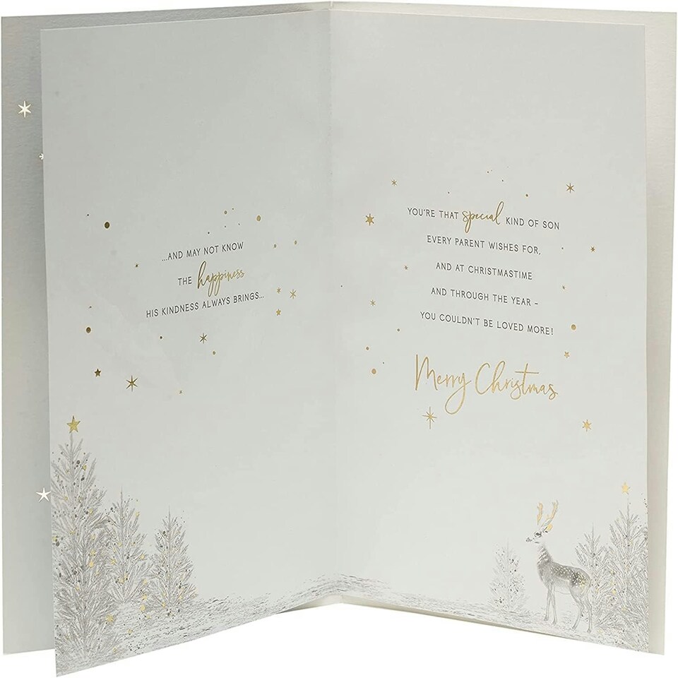 image 1 of Snowy Scene Design Son Christmas Card
