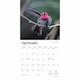 image 4 of Hummingbirds Calendar 2026, Wall Calendars, Month To View, Animals, Gift