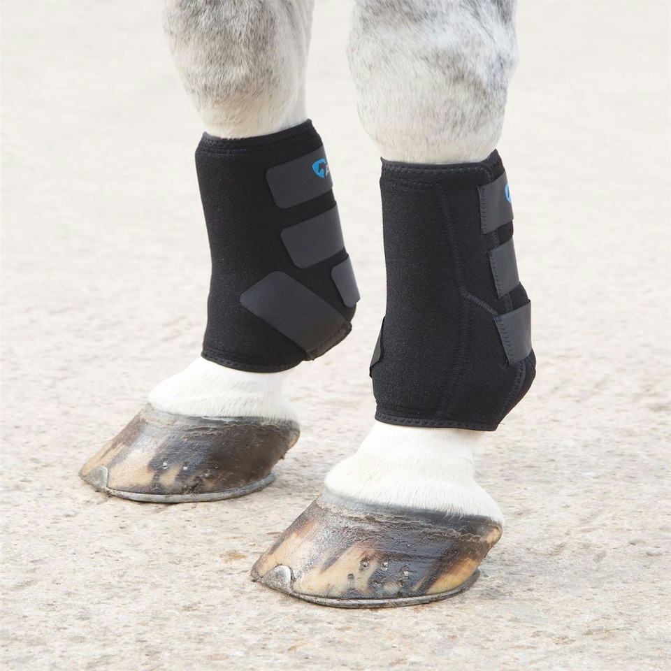 image 1 of Shires Breathable Sports Boots Black | Size: Full
Colour: Black