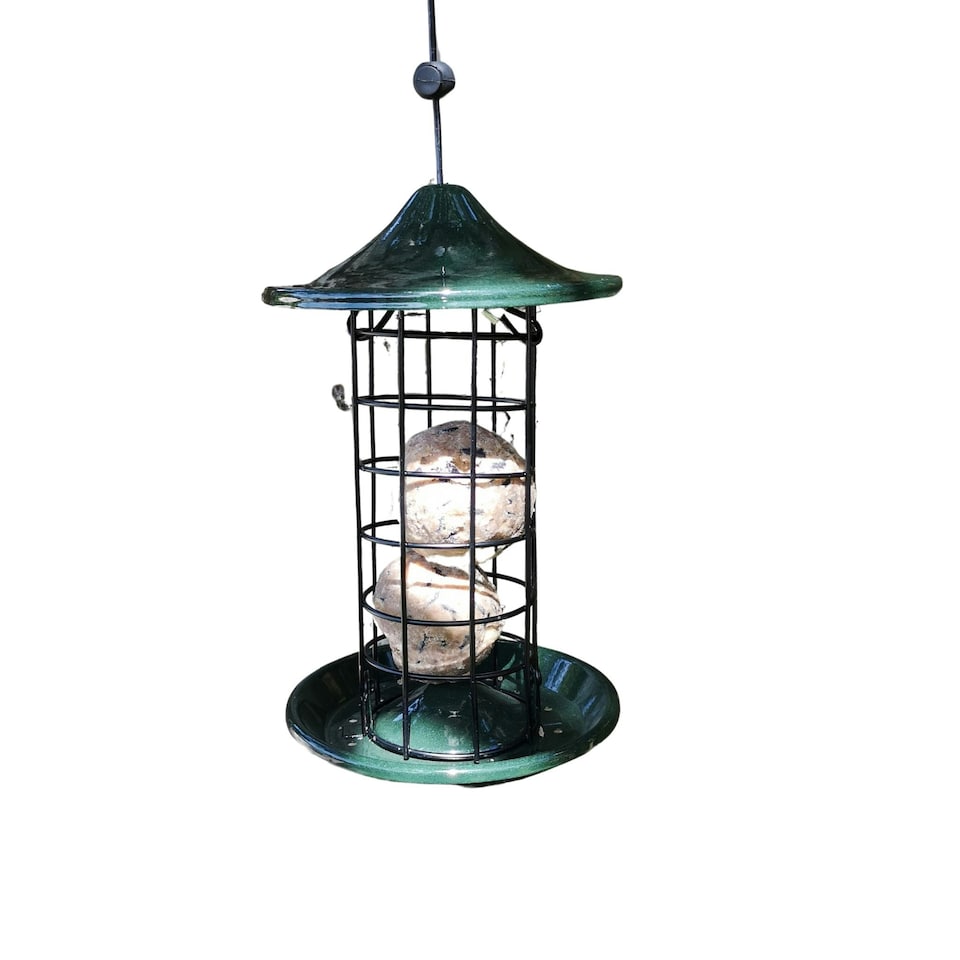 image 1 of Tom Chambers Oriental Stylish Garden Wild Bird Hanging Green Metal Fat Ball Feeder