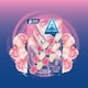 image 3 of Foam & Fresh Pink Peony