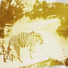 Golden Tiger (Canvas Print) 60" x 40"