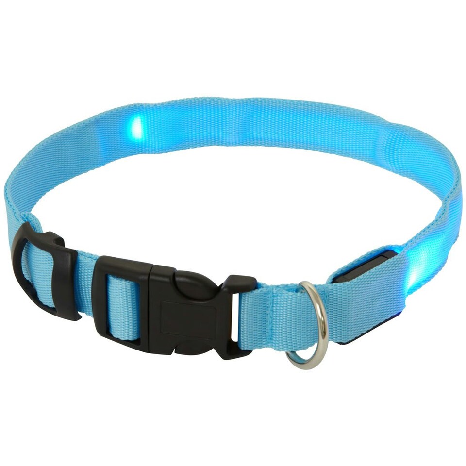 image 1 of Light Up Dog Collar - LED - Bunty Pink | M