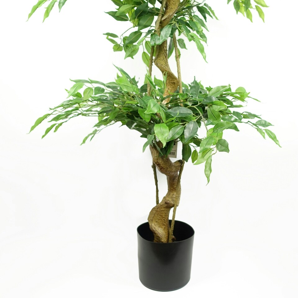 image 1 of 180cm Artificial Twisted Trunk Fruticosa Ficus Tree Triple Ball Topiary 1984 Leaves Gold Metal Planter