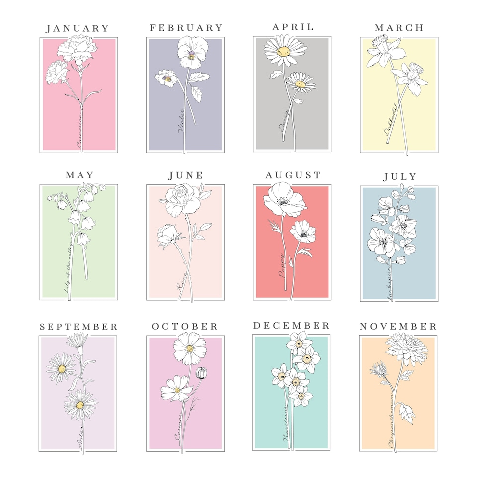 image 1 of Personalised Birth Flower White Poster Frame | White | One Size