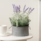 image 1 of Scottish Everlastings 37.5cm Artificial Lavender in Iron Pot