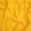 Sunshine Yellow