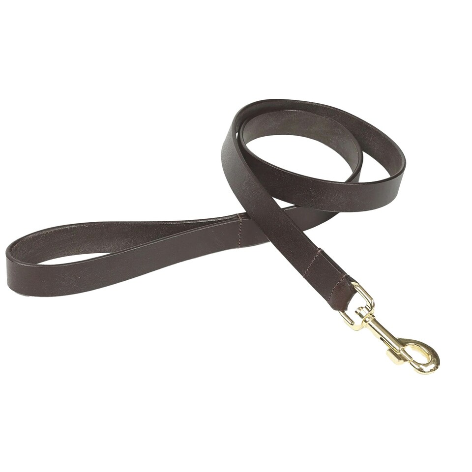 image 1 of Digby & Fox Flat Leather Dog Lead - Brown - L
