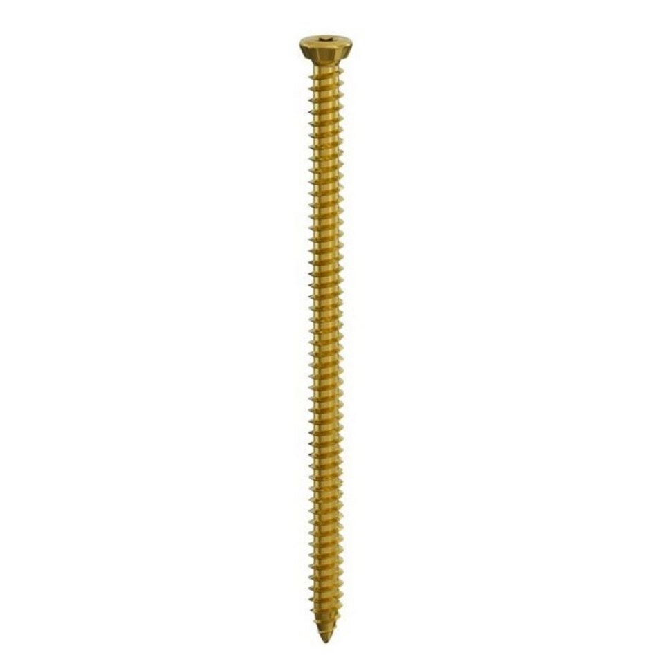 image 1 of Securfix Concrete Countersunk Frame Screw (Pack of 100) | Gold | Gold | 182mm x 7.5mm | 1