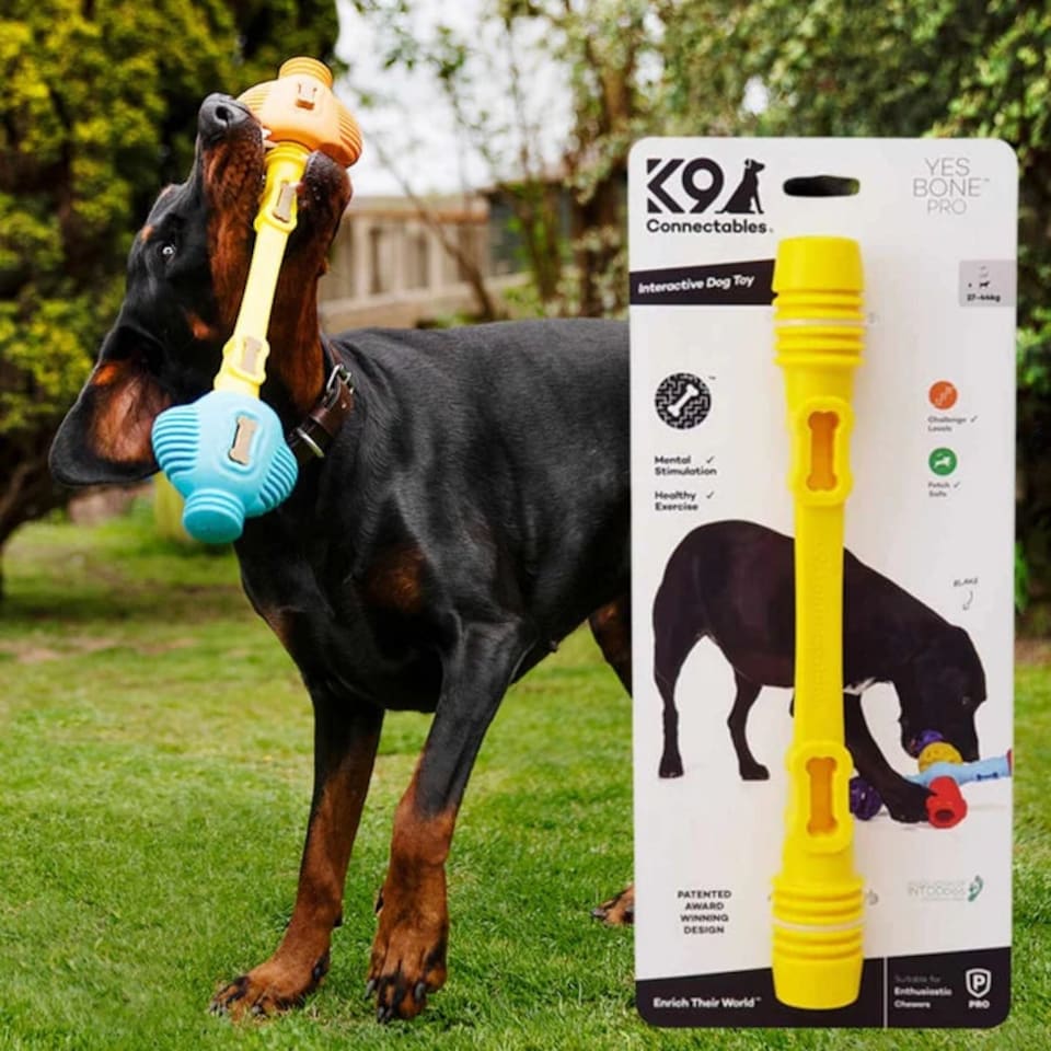 image 1 of K9Connectables Dog Toys - Yes Bone Large