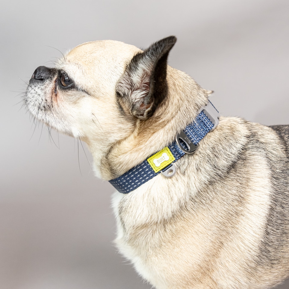 image 1 of BUILT PET Small NightSafe™ Reflective Adjustable Dog Collar, Blue