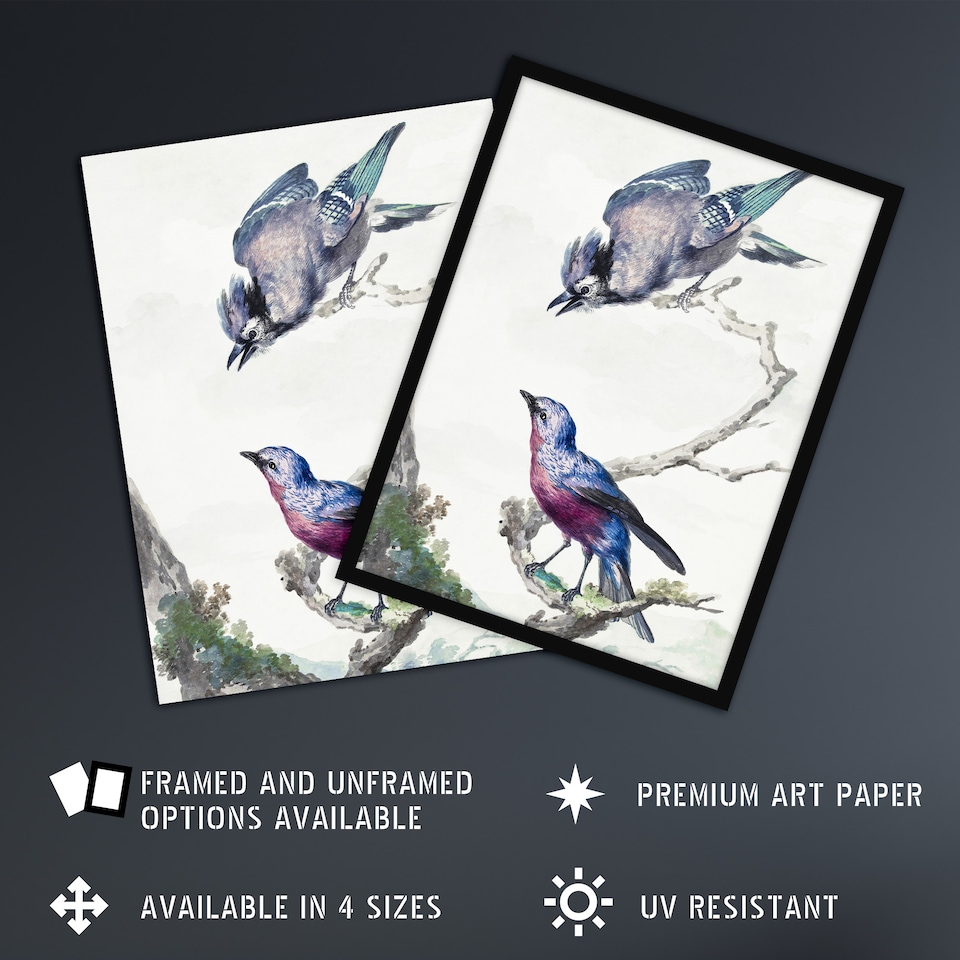 image 1 of Blue Jay and a Purple Breasted Cotinga Schouman Wall Art Poster Print 24X32"