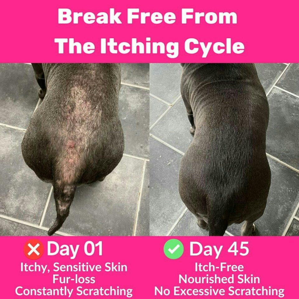 image 1 of All-Itch & Immunity Treats