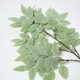 image 3 of Homescapes Frosted Sage Leaf Christmas Spray