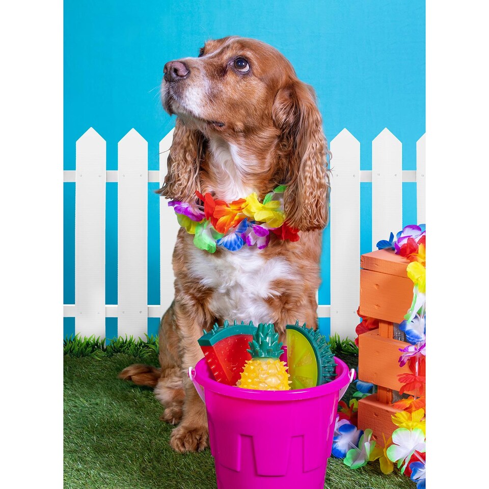 image 1 of Pineapple Summer Cooling Pet Toy - Dog Puppy Teething Chew Outdoor Play Freezable Durable Rubber  Hydrating Teether Frozen