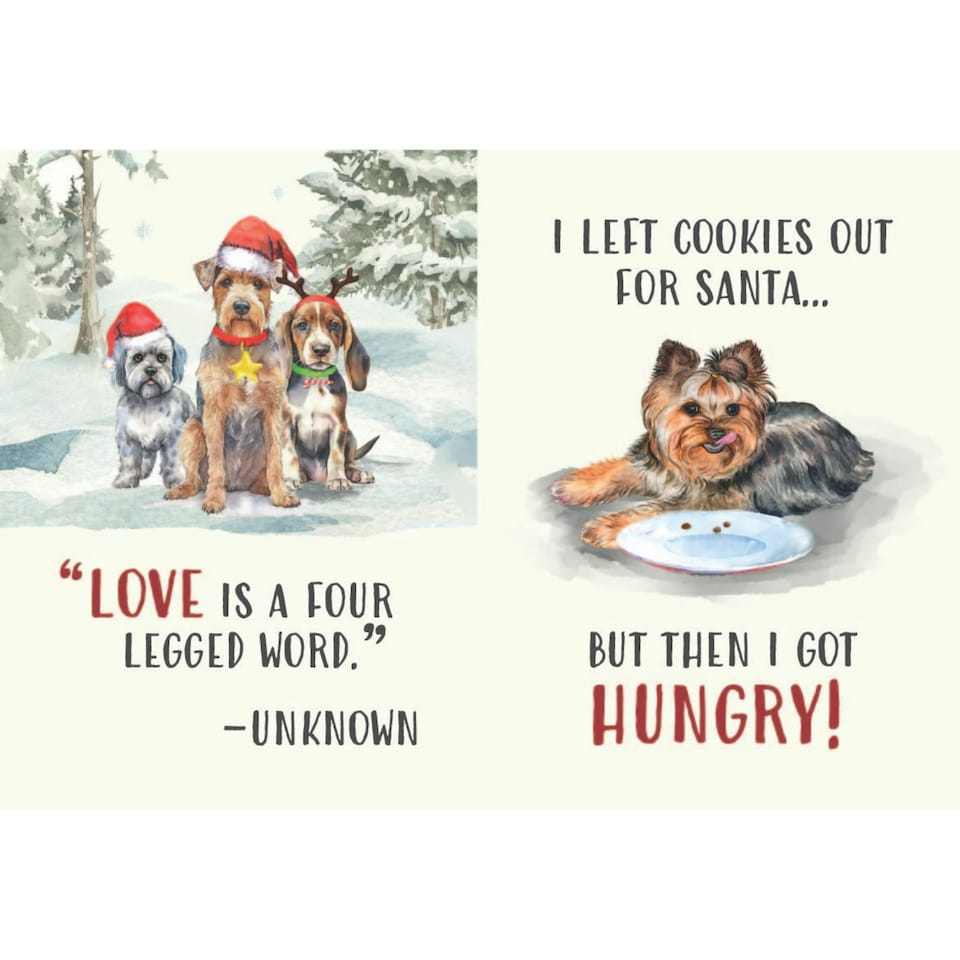 image 1 of All I Want For Christmas Is More Dogs
