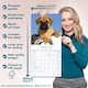 image 6 of Bull Mastiff 2026 Calendar | Square Wall Calendar | Dog Breed Gift | Plastic Free Packaging | by Avonside Publishing