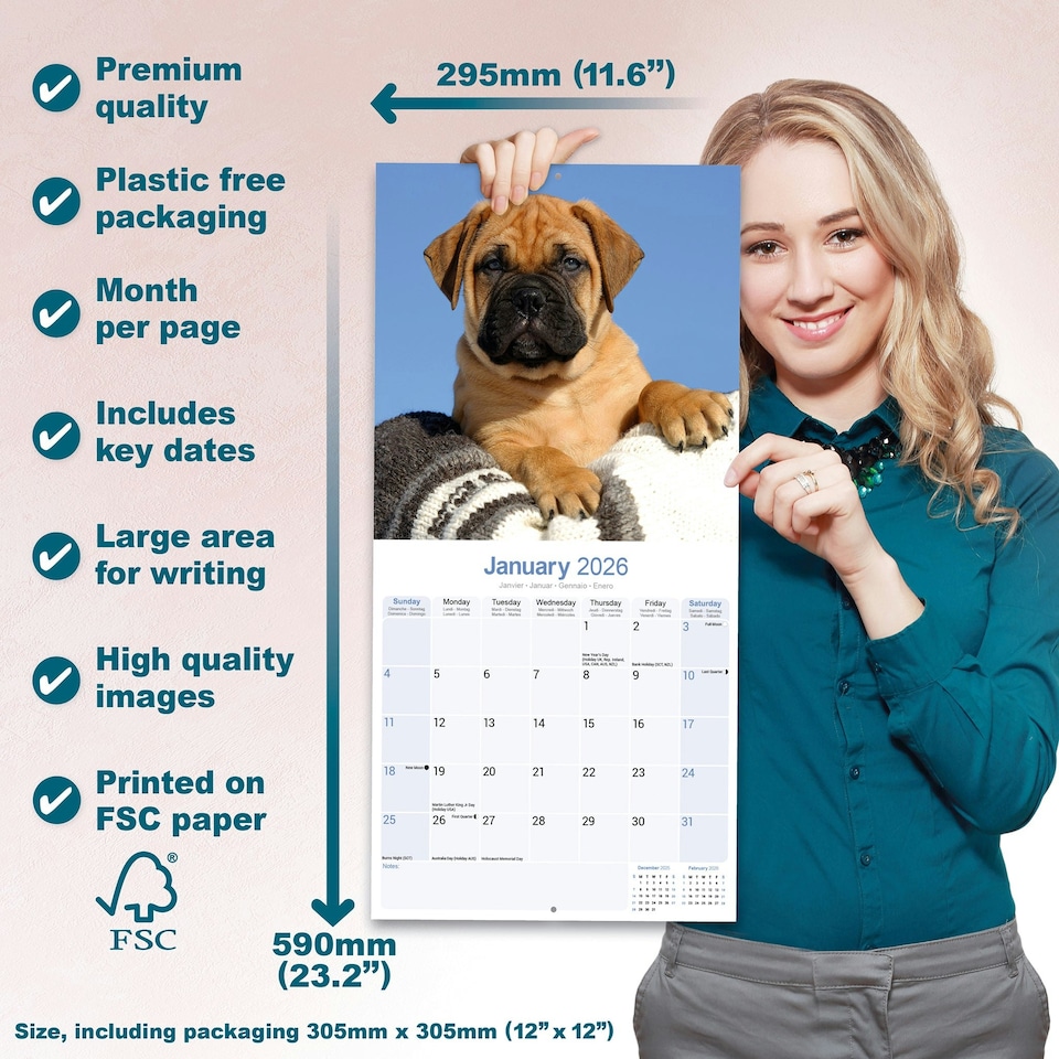image 1 of Bull Mastiff 2026 Calendar | Square Wall Calendar | Dog Breed Gift | Plastic Free Packaging | by Avonside Publishing
