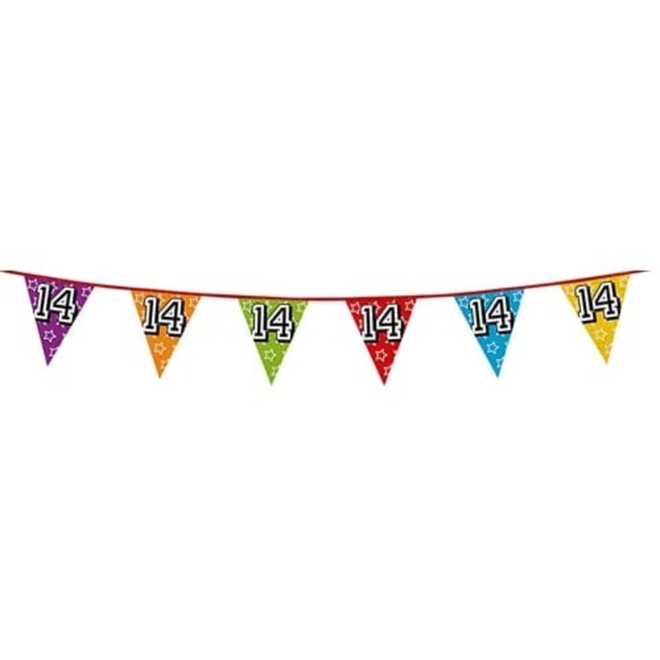 Age 14 Holographic Foil Pennant Bunting 8m