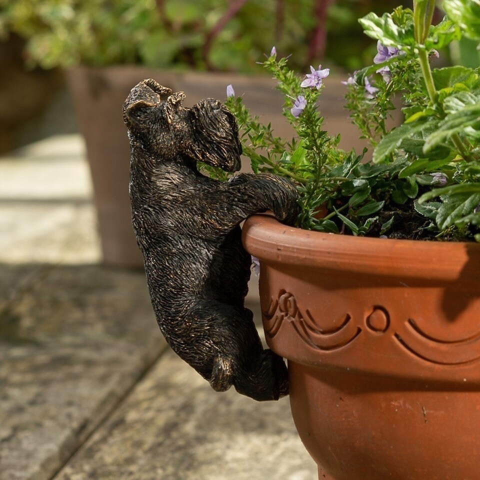 image 1 of Antique Bronze Coloured Schnauzer Pot Buddy Plant Pot Hanger