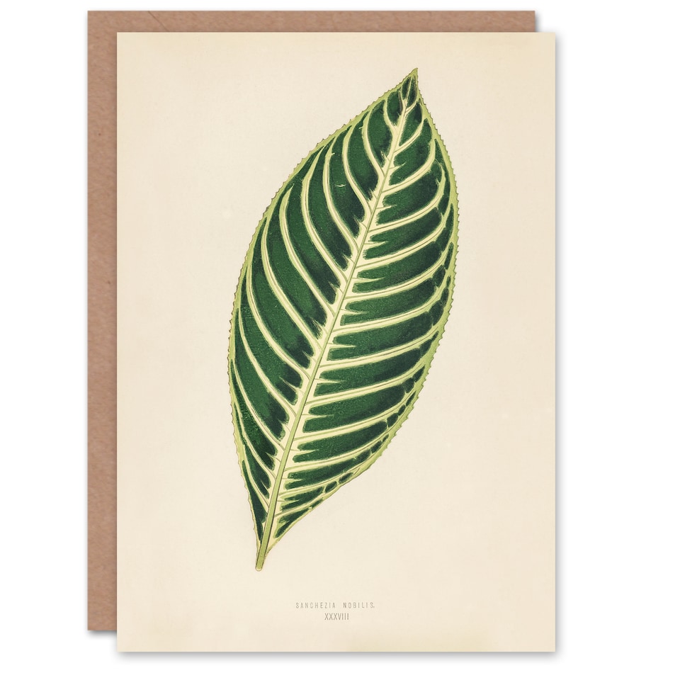 image 1 of Benjamin Fawcett Art Card Vintage Botanical Tiger Plant Leaf